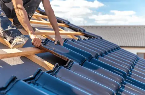 Couverture - Roannes-Saint-Mary