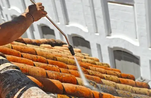 Nettoyage de toitures - Roannes-Saint-Mary